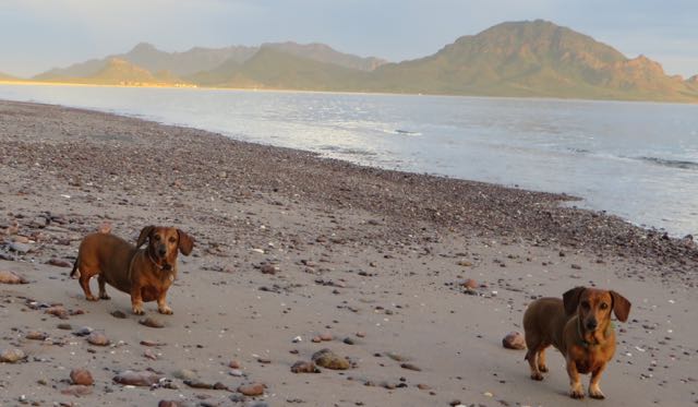 While I stayed in the RV wit ATT on the phone for over an hour, Colin took the girls to the beach.