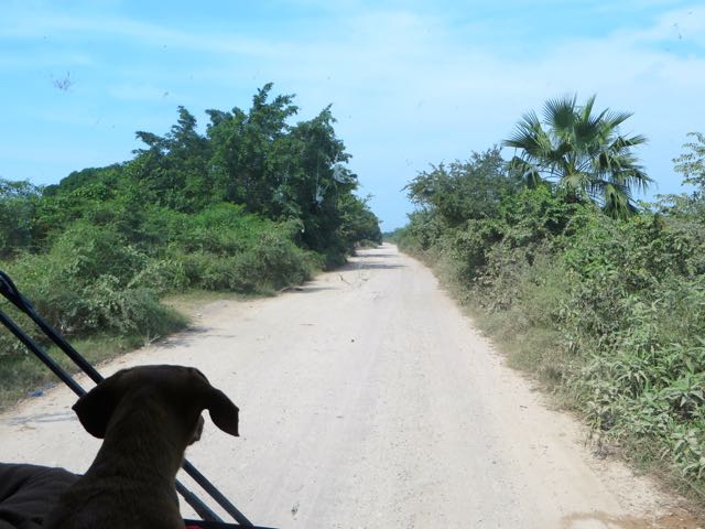 Finally we were starting the almost 9 mile road. The first 2 miles were rough with pot holes.