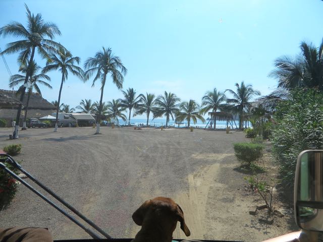 There you have it, Tres Amigos RV Park empty front row sites. A very strange ocurrence.