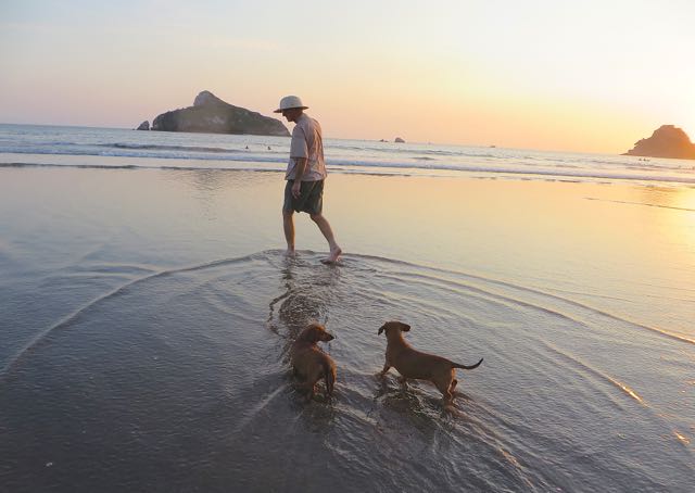 We did however have a great pre sunset walk on the beach and it was low tide which was a bonus. Carmeh seemed somewhat unsettled at first. I think it was because the beach was packed with people.