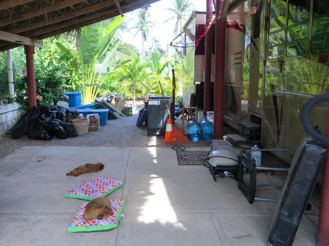Extra stuff like a 10 X 10 canopy, dog beds, some exercise equipment and tons of white fairy lights along with a buhch of things we feel we can leave here in a bin rather than cart it back and forth and don't forget all my plant pots plus a bunch of who knows what. Found a bottle of vodka I left last winter, wonder who is going to use that?
