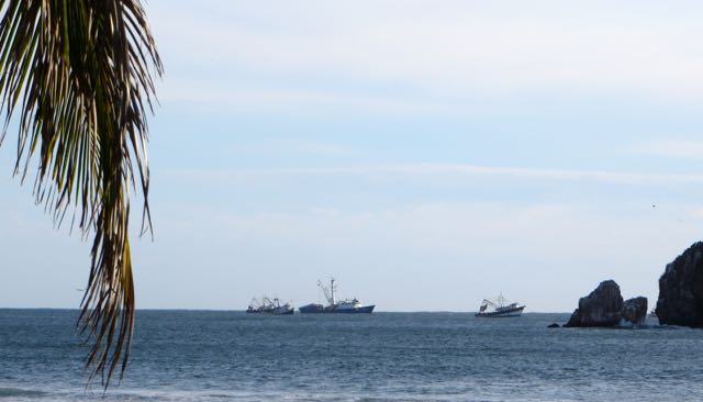 Tuna season is about over and the boats are coming in. The tall one is waiting to come in. Lots of shrimps boats out there at times, today none as I write this.