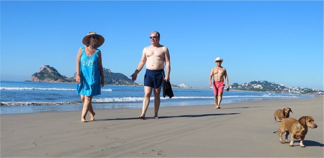 Of course we got a beach walk in this AM, always a priority.