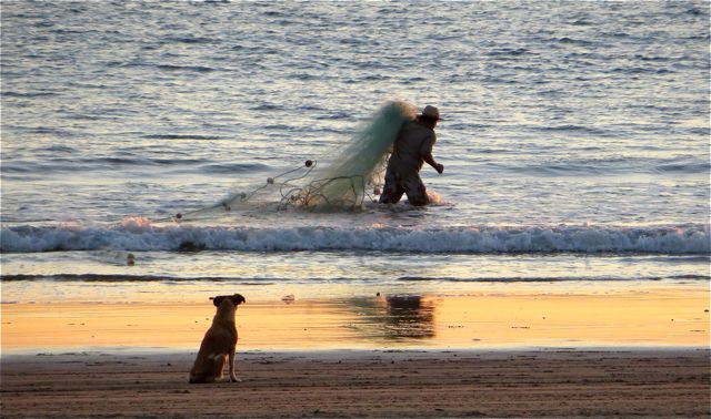 A fisherman setting out his net in the glow of the sunset.