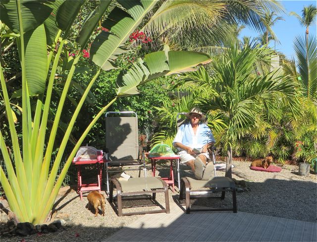 After our morning walk we always have fruit and for a few mornings this past week we have moved to our back garden well away from the ocean breeze.
