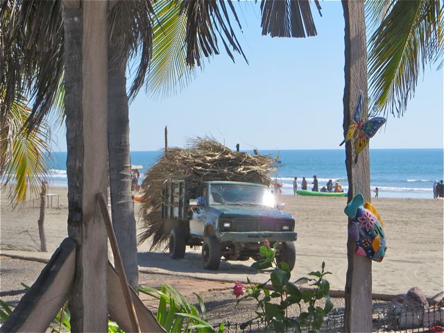 Lupe delivered two loads of palmas.