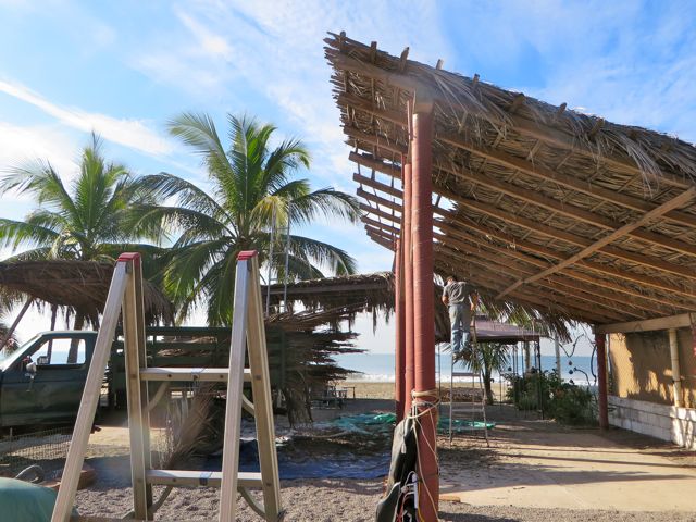 About 8:30AM Monday Lupe pulls in and starts to take the old palapa apart. We was supposed to start on the little one so we were not ready.