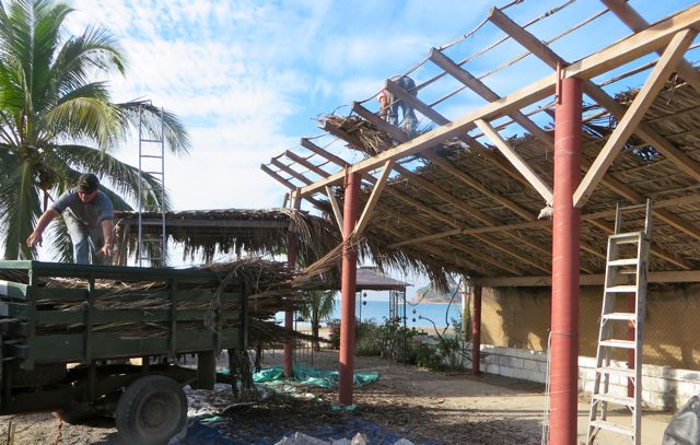 We quickly moved everything from under the palapa to the back corner of the garden. We also got out tarps and borrowed a few. the dust and disintigrating palm fronds was worse then I expected. A huge dirty mess.