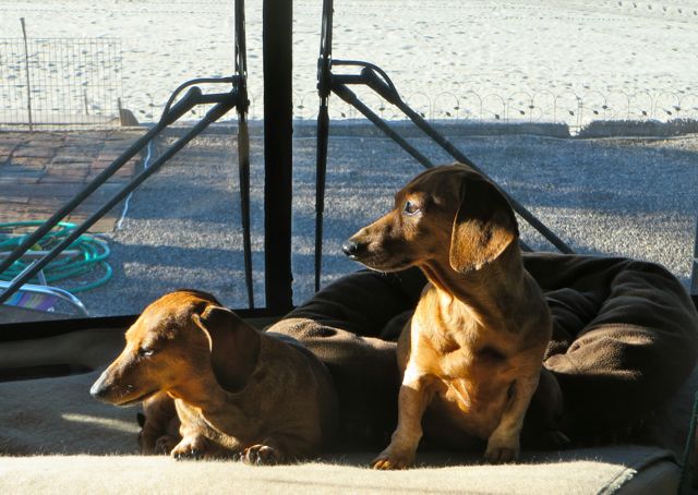 They are such a sweet team.