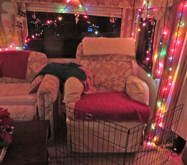 When we finally said adios and went in to feed the girls, we ound Caeli hiding behind the recliner.