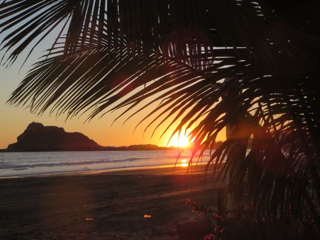 Happily back in my leisurely grove here on the Isla.