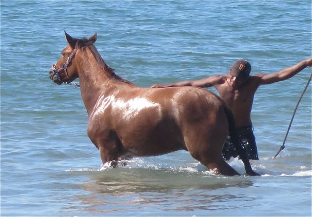 The exercise was continued but not as aggressively. I believe that the intent was to cool the horse.