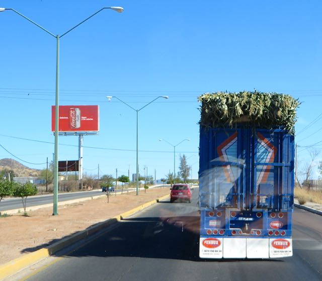 Lots of heavy agriculture traffic on the road.