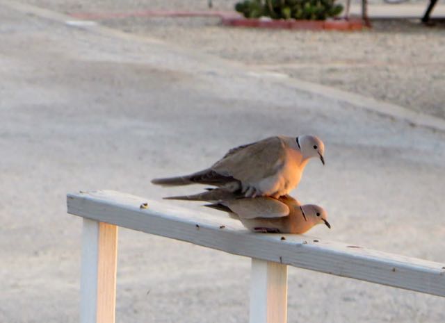 Seems like love in in the air.