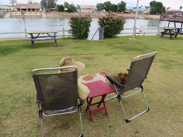 Got in a few moments of r & R before the nest set of rain drops fell.