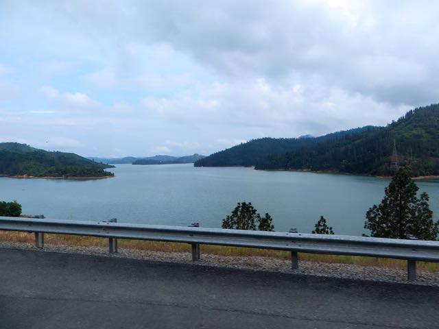 A very large Shasta Lake.