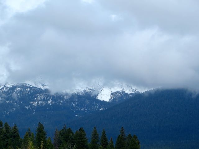 Mount Shasta hiding in the clouds. So very lovely when we do get to see it.