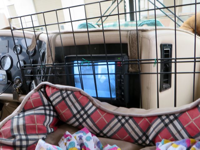 Carmeh is feeling much much better and obviously stronger. She used to simply jump up from her dog bed between our seat and up onto the dash. Of course we no longer want her to do that and so we placed the screen across her access point.