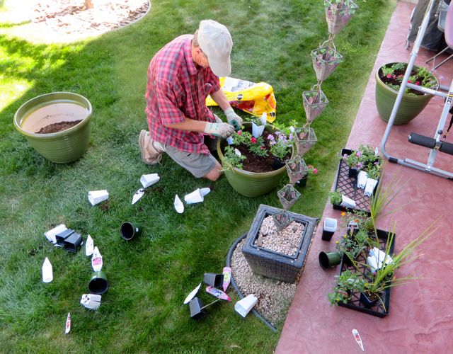 Colin managed to get our annuals planted the other day. We picked the flowers together at the nusery but I am only allowed to supervise the planting.