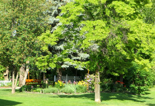 Just a walk in the park as we did walk aour girsl thru the area