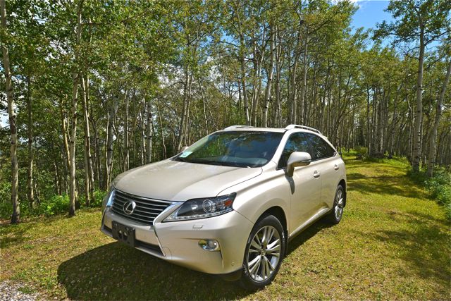 It is an RX350 Lexus.