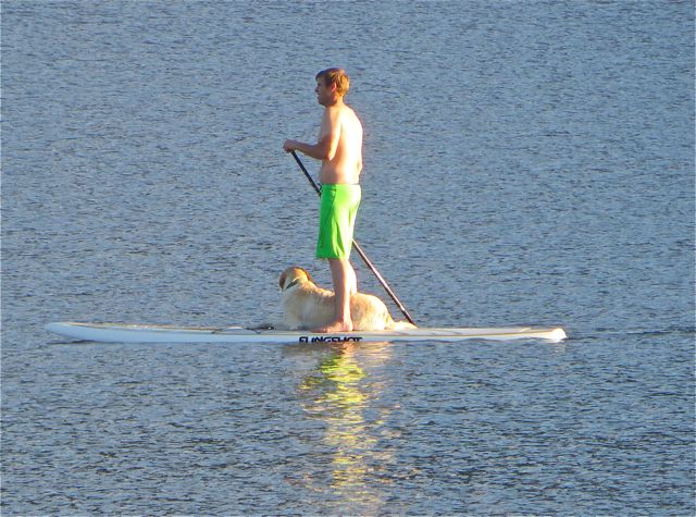 Amazing that the dog is content to sit and enjoy the ride. No way could I train our girls to do that. Mind you, no way could I even mahage the paddling.