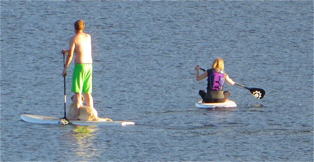 A family out for a paddle.