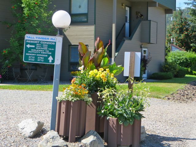 These planters on the corners are new this year.