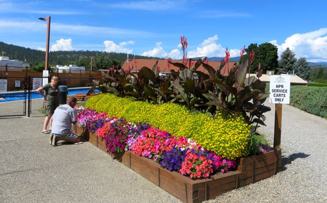 The lap pool, one of three pools, is just behind this area. Volunteers do a lot of work in keeping this place looking spectacular.