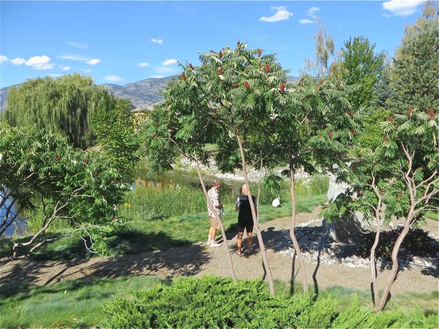 Janet & Grant moved here a year ago and we have to say that they found a lovely area to settle in. Their home is jsut perfect and if we could move it here to our site we would be in heavean