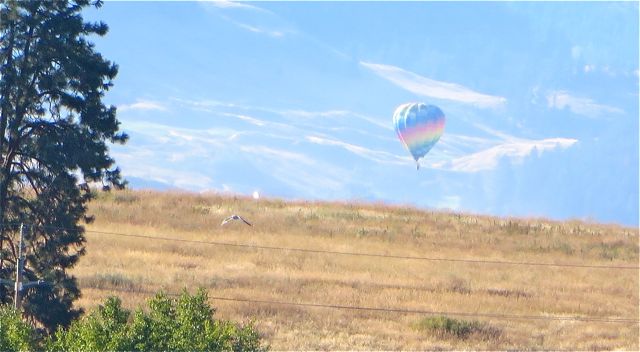 The balloon initially appeared to be landing and they rose and moved over several yards.