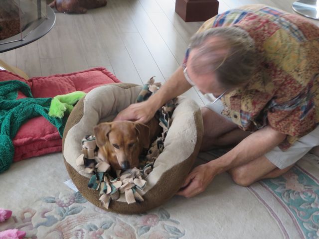 The Carmeh that came back home with us was not our sweet girl..