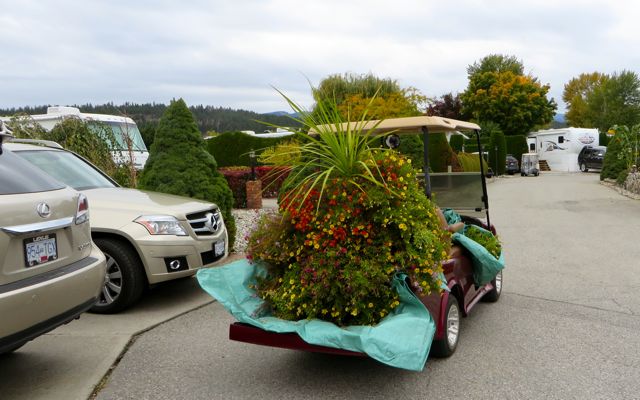 Quite the load. He was off to the compost piles near the garden area here in the park.