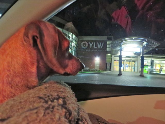 So as I awoke at 4:15AM today I had the thought that we should bring her to the airpoert with us