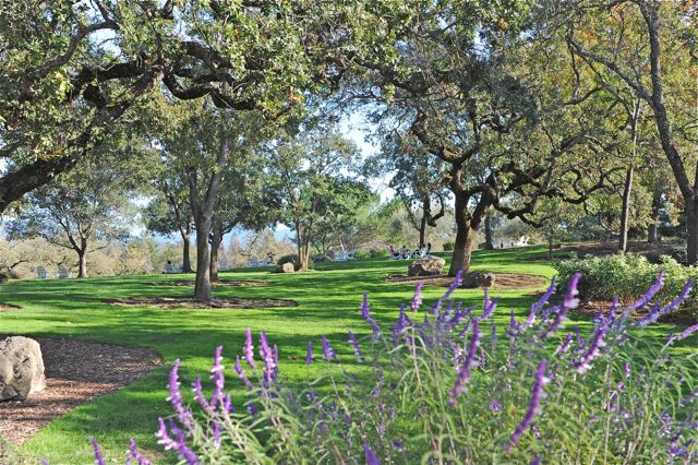 The grounds were exquisite. The entrance into the winery was liking entering a wonderland, I never got a photo as I was so entranced. The best was yet to come.