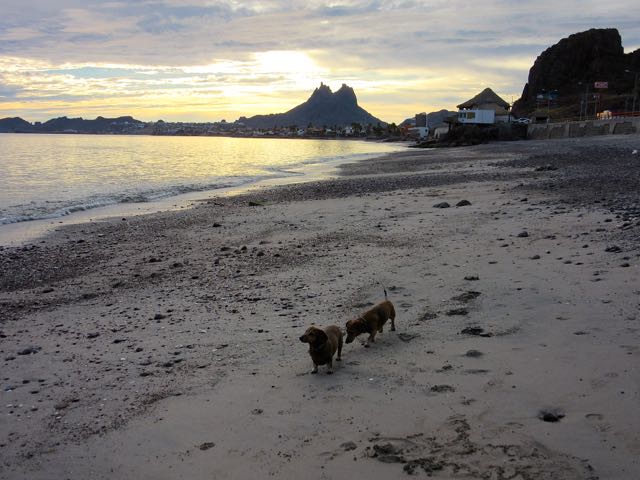 We got to Totonaka RV Park in San Carlos at 4PM. I had never seen it so empty. However 8 other RV's arrived about 30 minutes after we did. The price has gone up, yet again, to 420 pesos or $24.00USD. We saved close to $6.00CAd by paying in pesos.