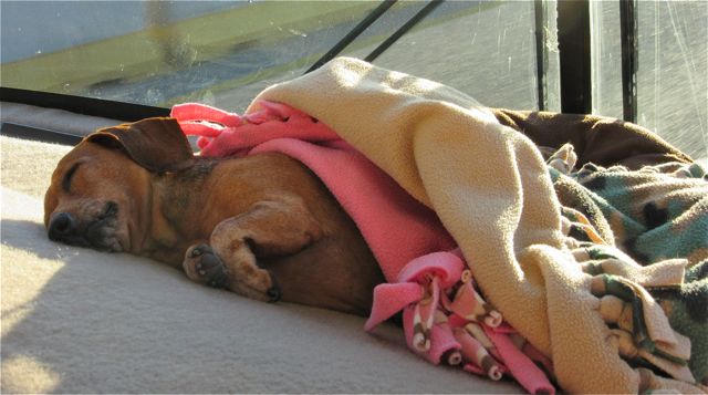 Carmeh spent the first hour on the road in a very deep slumber.