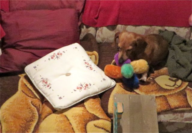 The girls were so happy to see up return This is Camrhe suealing up a song with her toy..
