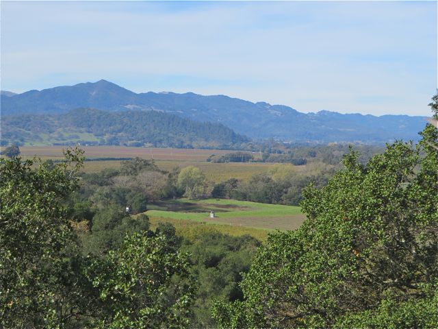 Lovely views from their patio. Once agian I was gifted with a taste.