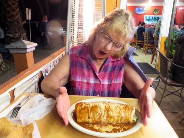 OMG!!! An oversize burrito mojada.