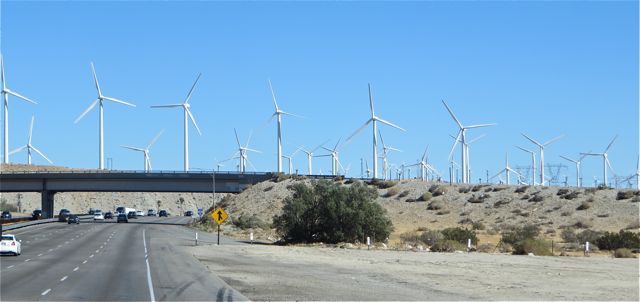 Welcome to Palm Springs.