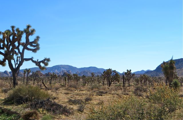 It seems that every few miles along the road there is a new vista.