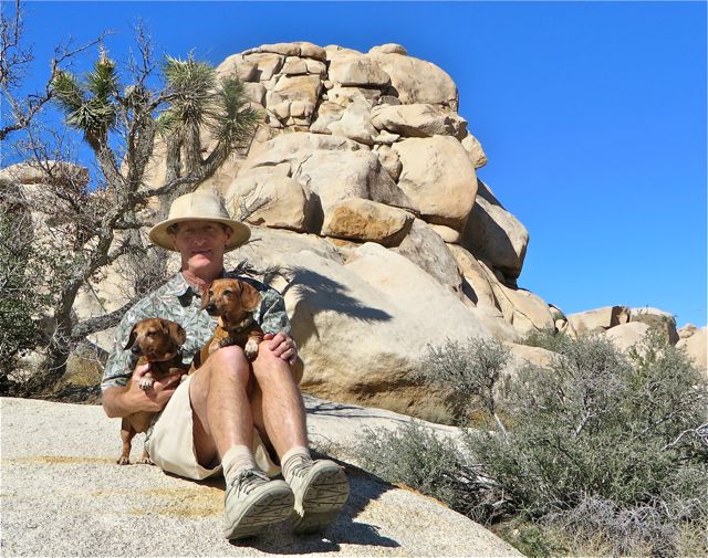 If one looks closely there are may types of animal in the park including BIghorn Sheep