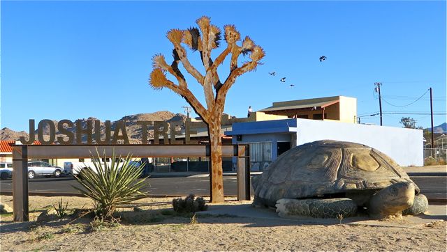 Love the turtle.