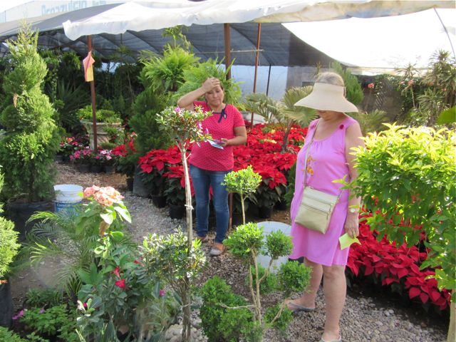 The day we paianted the patio we drive into Mazatlan topick up palnts for my garden. The new road makes getting into town so much earier