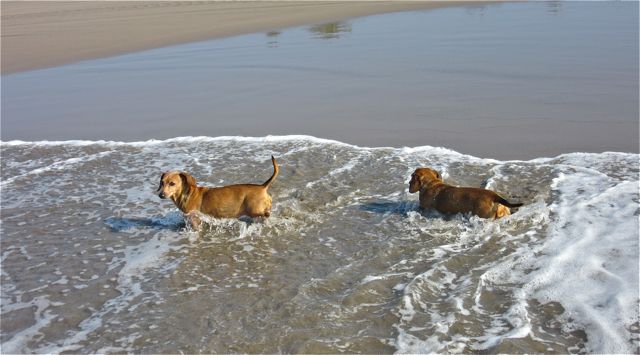 We now walk with the tide.