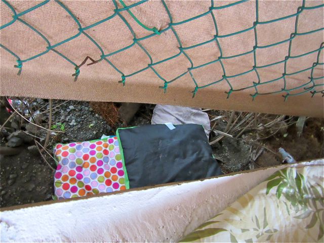 The wind came from a differnet direction and was stron enough to push the green mesh of our fence away from the wall. Everything we had on the tables was swept down below.